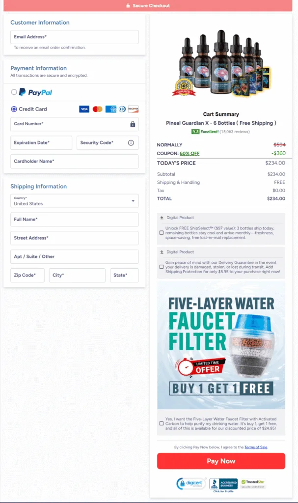 Secure checkout process with encrypted payment for safe online ordering